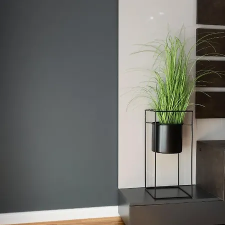 Apartment Origins *