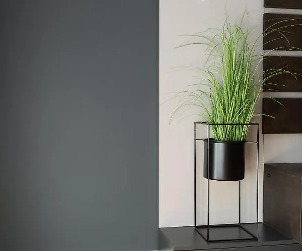 Appartement Origins *